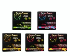 SACRED JOURNEY MUSHROOM SUPER POTENT EXTRA STRENGHT 4000MG CHOCOLATES 20CT/ BOX